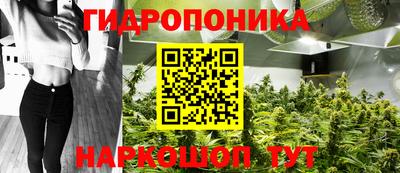 стафф Донецк